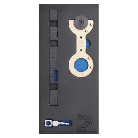 Dupla VANOS beállító készlet BMW M52TU/M54/M56